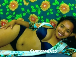 Cindybarnes