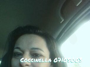Coccinella-07105003