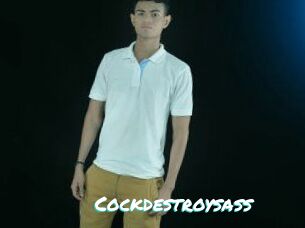 Cockdestroysass
