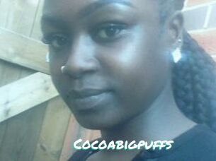 Cocoabigpuffs