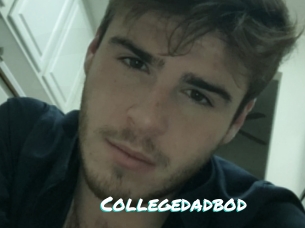 Collegedadbod