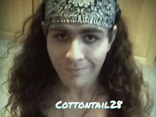 Cottontail28