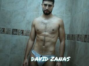 DAVID_ZANAS