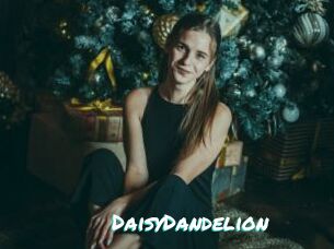 DaisyDandelion