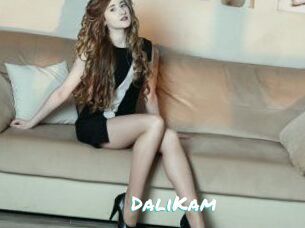 DaliKam
