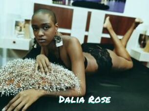 Dalia_Rose