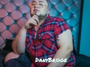 DanyBridge