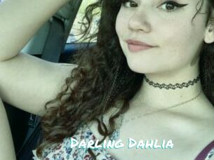 Darling_Dahlia