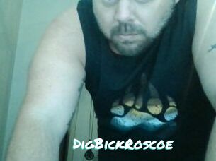 DigBickRoscoe