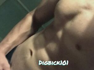 Digbick101