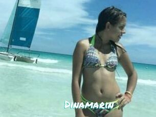 Dinamarin