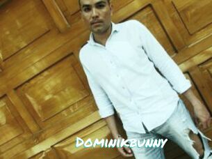 Dominikbunny