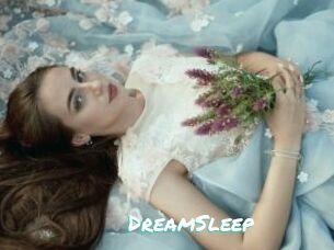 DreamSleep