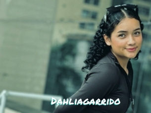 Dahliagarrido