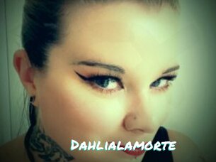 Dahlialamorte