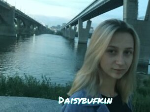 Daisybufkin