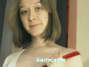 Daisycaspe