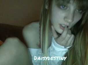 Daisydestiny