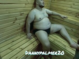 Dannypalmer20