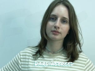 Darlinebreed