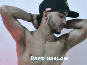 david_harlow Free Sites X
