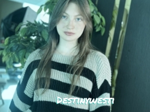 Destinywesti