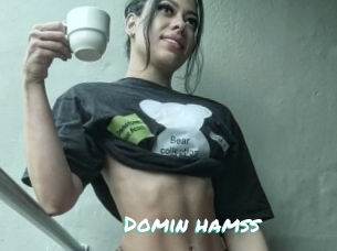 Domin_hamss