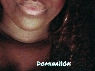 Domina110k