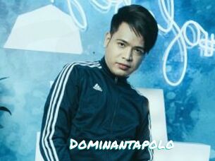 Dominantapolo