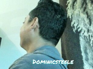 Dominicsteele
