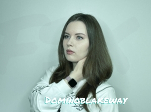Dominoblakeway