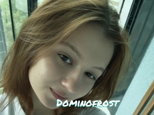 Dominofrost
