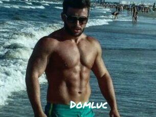 Domluc