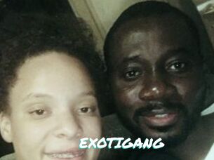 EXOTIGANG
