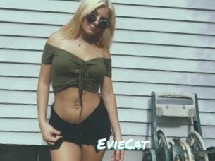 EvieCat