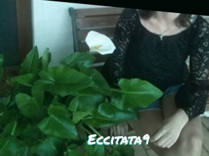 Eccitata9