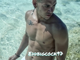 Eddbigcock97
