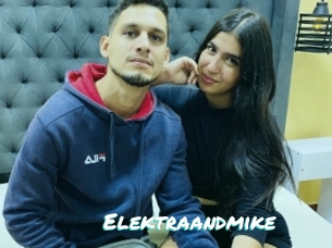 Elektraandmike