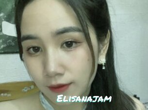 Elisanajam