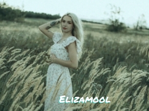 Elizamool