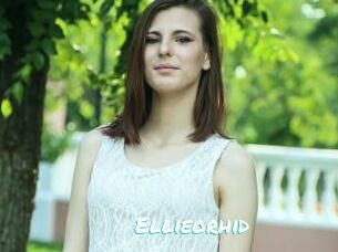 Ellieorhid