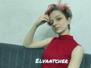 Elvaatcher