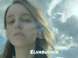Elvabucher