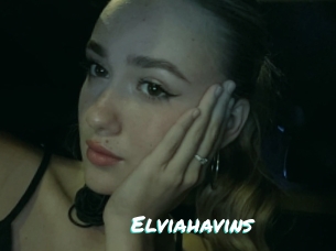 Elviahavins