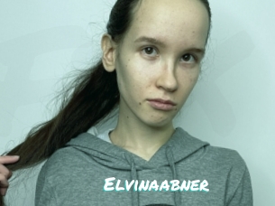 Elvinaabner