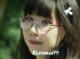 Elvinagitt