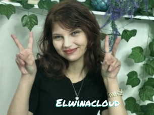 Elwinacloud