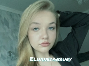 Elwinedanbury