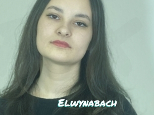 Elwynabach