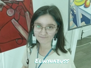 Elwynabuss